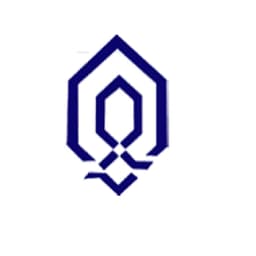 دی ام تی