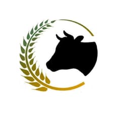 زرین دام